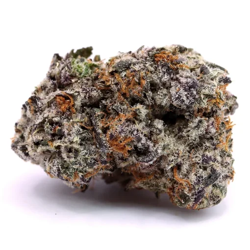 Buy Black Truffle Strain THCA Flower