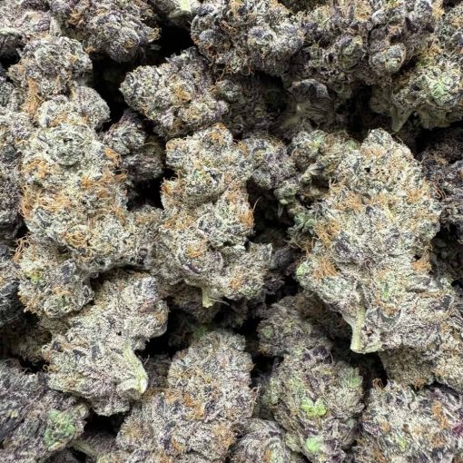 Buy Bulk Purple Voodoo THCA Flower