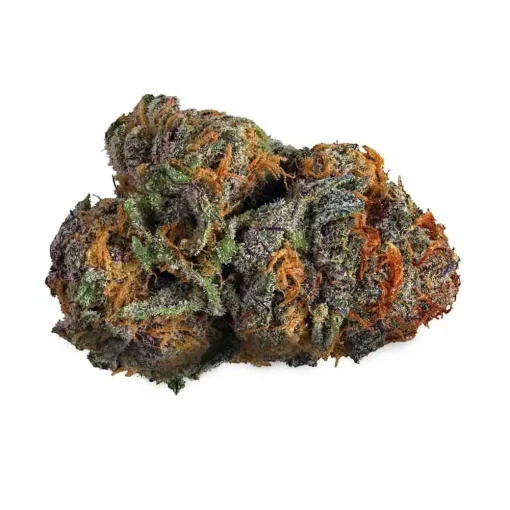 Buy Bulk Purple Voodoo THCA Flower1