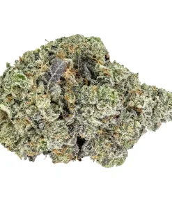 Buy Sherbet THCA Flower - Wholesale