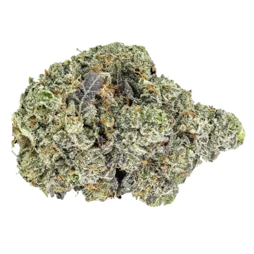 Buy Sherbet THCA Flower - Wholesale